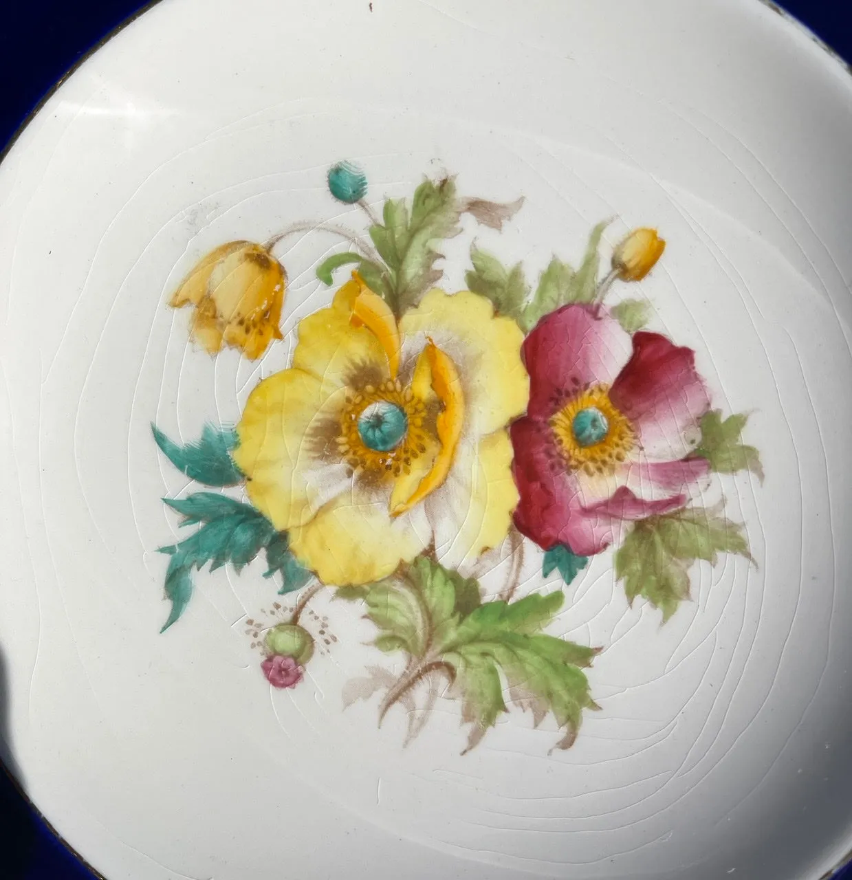 1940 Hand Painted Yellow Pink Poppies Botanical English Transferware Plate Blue Border