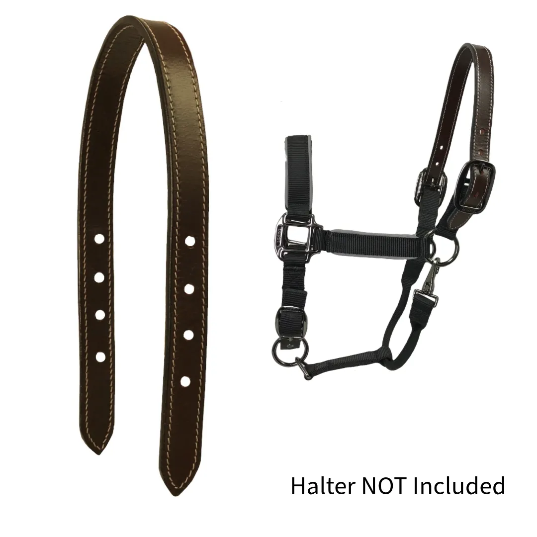 Derby Originals Double Layered, Double Stitched Replacement Leather Breakaway Crown for Horse Halters