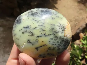 Polished Dendritic Opal Galet / Palm Stone x 6 from Madagascar