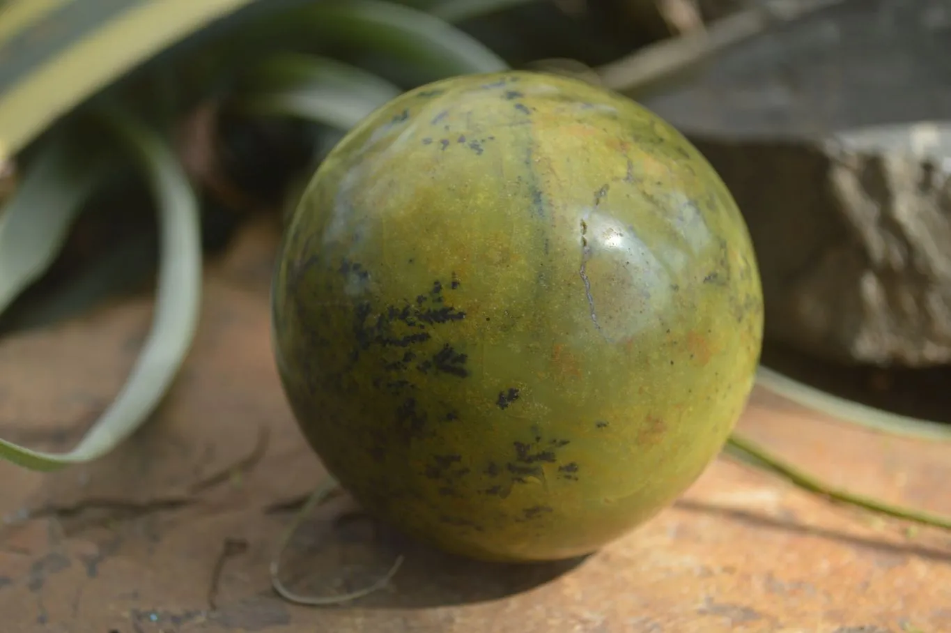 Polished Green Opal Spheres  x 3 From Madagascar