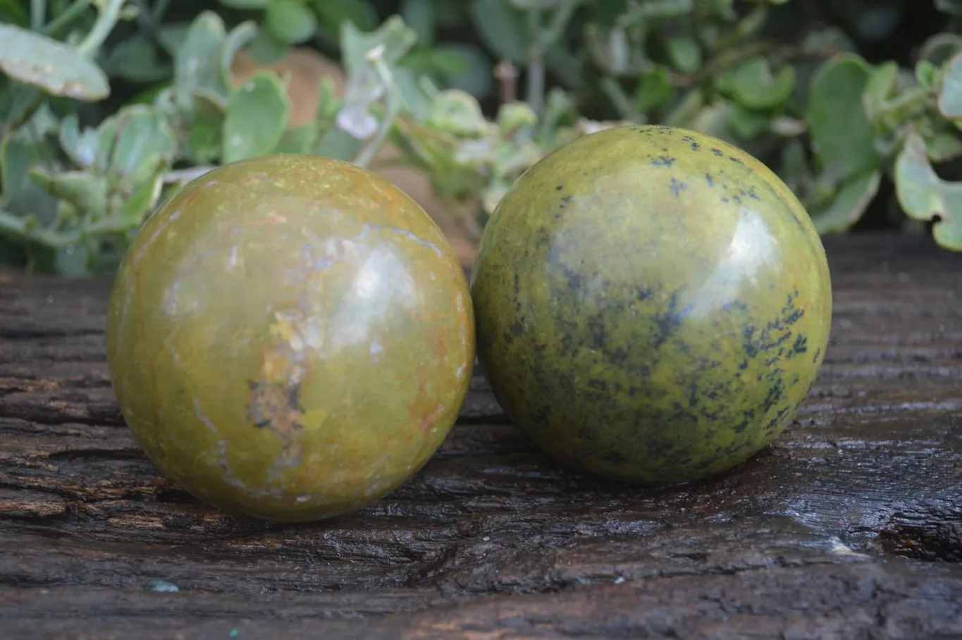 Polished Green Opal Spheres  x 3 From Madagascar