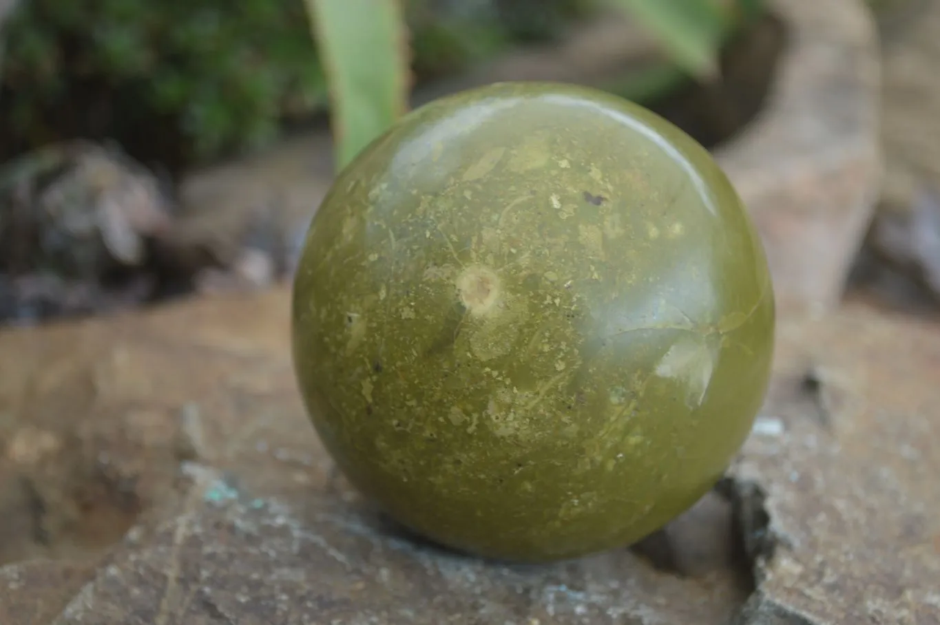 Polished Green Opal Spheres  x 3 From Madagascar