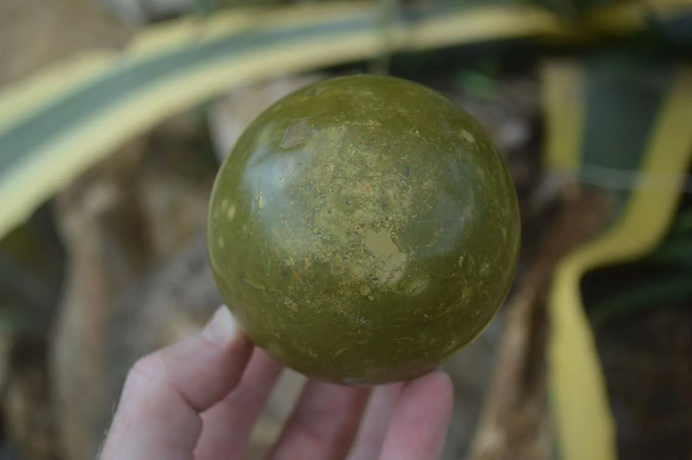 Polished Green Opal Spheres  x 3 From Madagascar