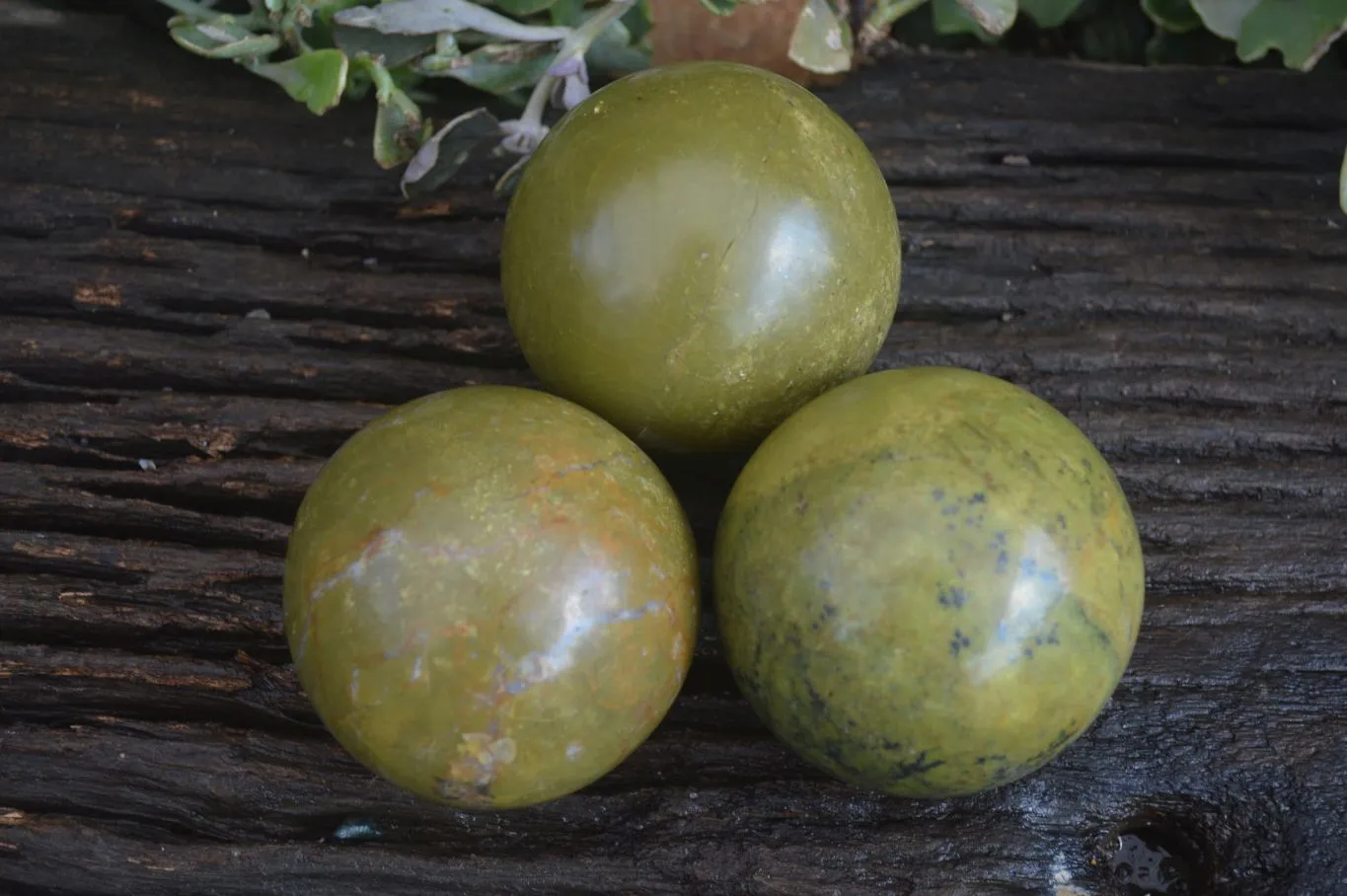 Polished Green Opal Spheres  x 3 From Madagascar