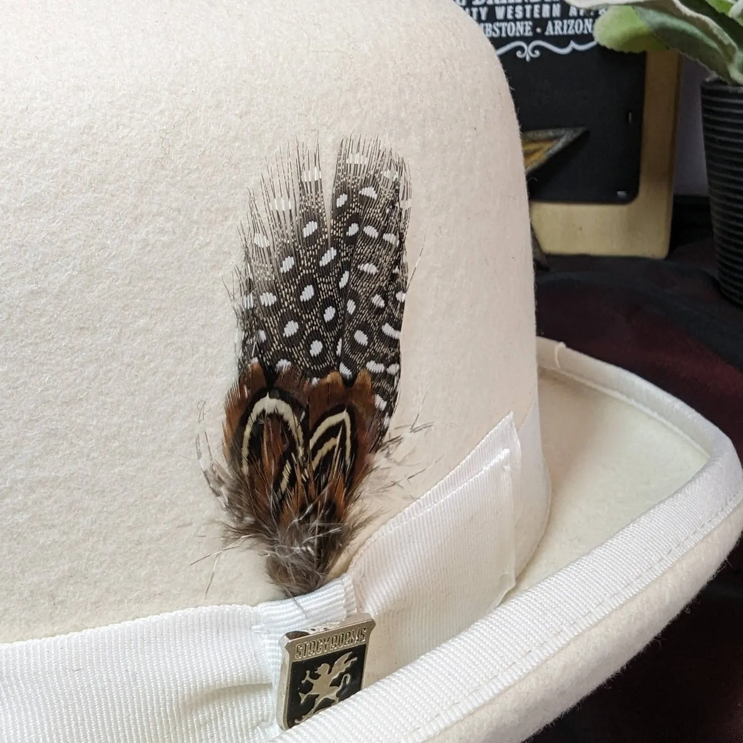 The "Monroe Derby" Hat by Stacy Adams SAW506-PACK